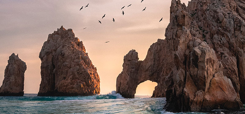 destination los cabos
